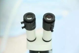 9月新疆，您不得不知的五大看點與保健器械建議